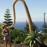 Big Island
